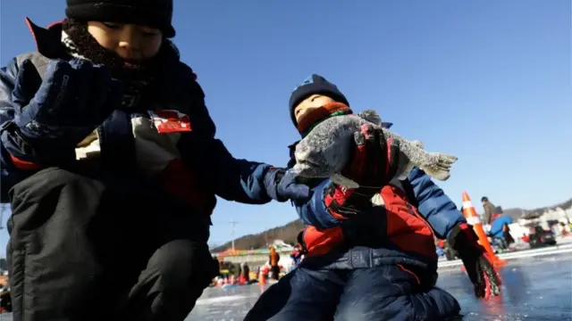 आइस फेस्टिवल