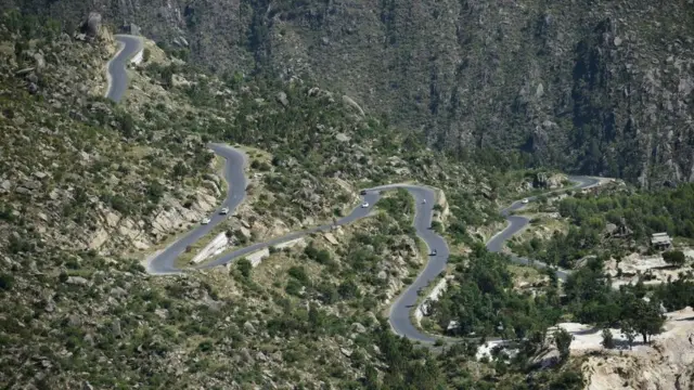 خیبر پختونخوا، جنگلات