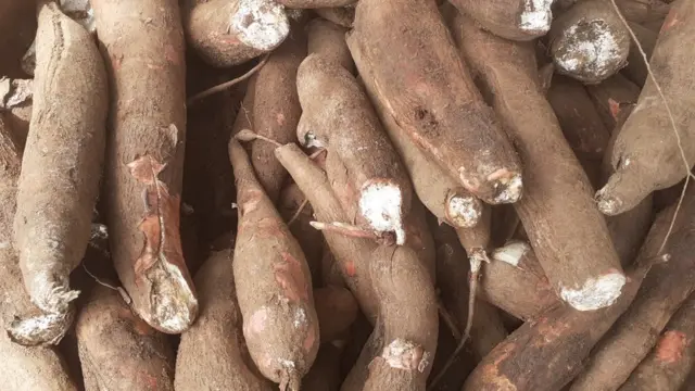 மரவள்ளி கிழங்கு