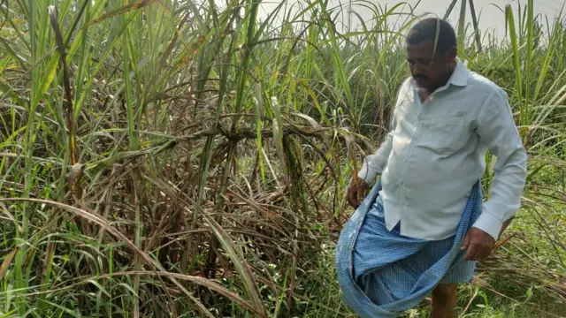 చెరకు రైతులకు కొన్ని రోజులుగా బకాయిలు అందటం లేదు.