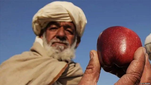 अफगाणिस्तान- भारत व्यापार