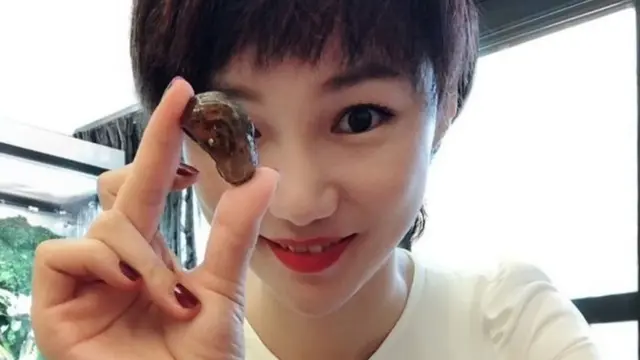 این فسیل کهربایی به چه دلیل حایز اهمیت است؟