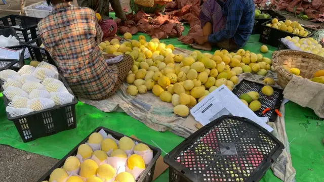 သရက်သီး ပြည်ပတင်ပို့ဖို့ ထုပ်ပိုးနေကြစဥ်