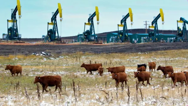 добыча сланцевой нефти в США