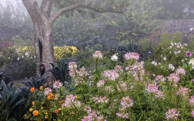 Mist over the Lower Walled Garden by Nigel McCall