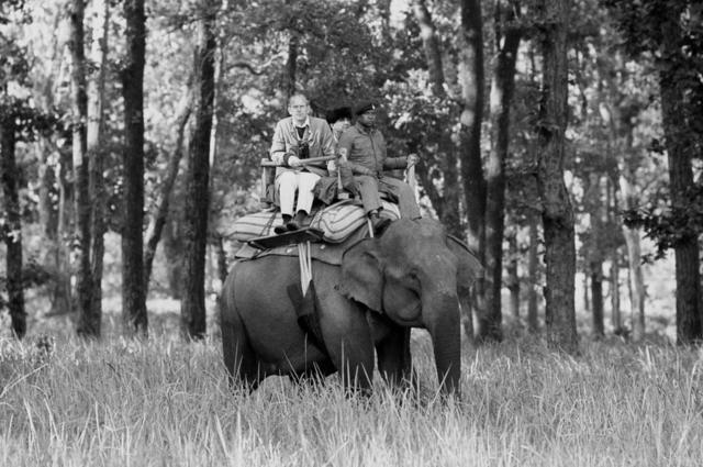 El duque de Edimburgo sentado encima de un elefante mientras visitaba la Reserva de Caza Kanha, 1983.