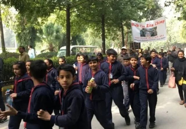 شامپانزې