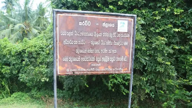 වැව