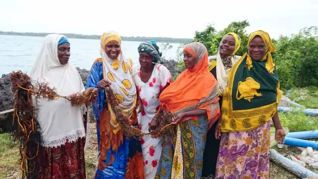 Wakulima wa mwani wanaojifunza kuogelea katika kijiji cha Mungoni Zanzibar