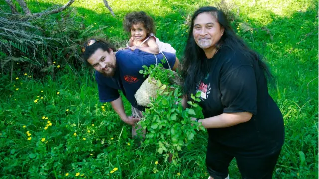 Imagem mostra homem, mulher e criança com plantasblackjack móvelradula na Nova Zelândia