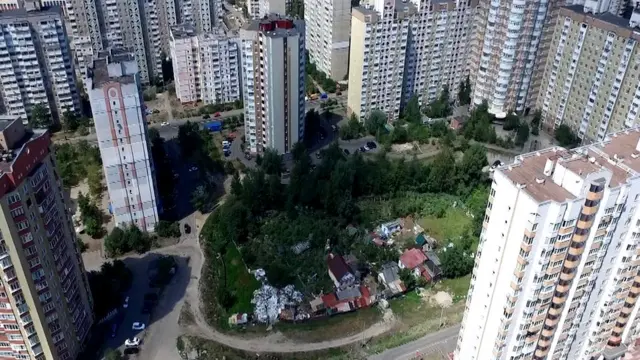 Обійстя родини займає площу 63 соток