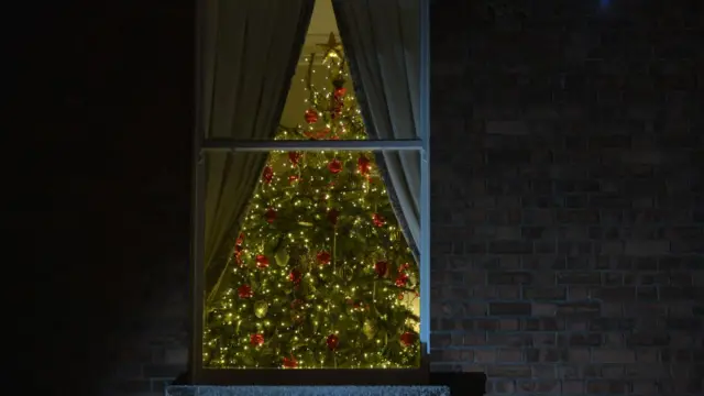 Ялинка у вікні