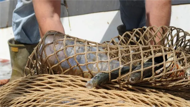 plastik, sampah plastik, daur ulang