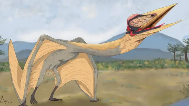 Uma ilustração científica do recém-descoberto Thanatosdrakon amaru