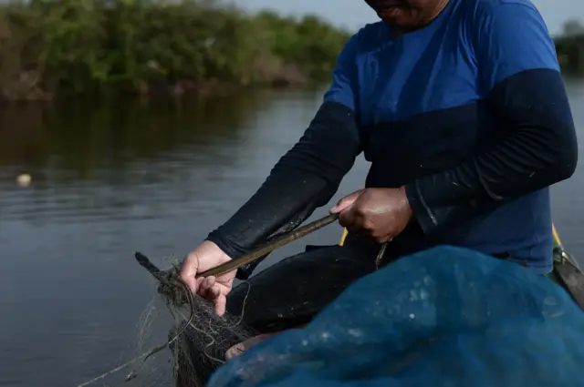 นักล่างู โตนเลสาบ งู