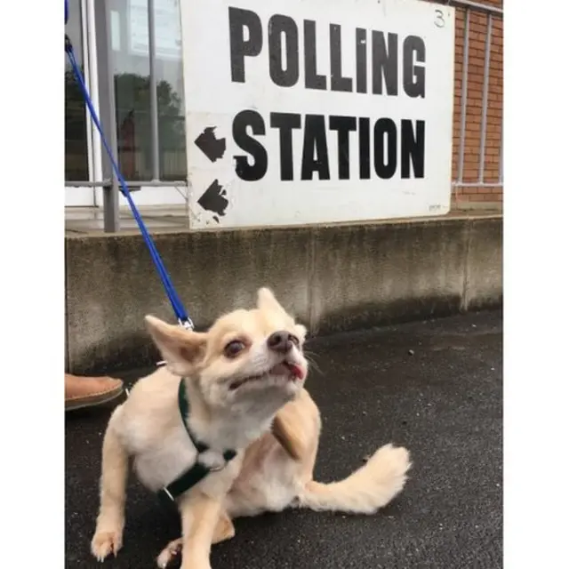 Screen grab of tweet by @falcoretweets