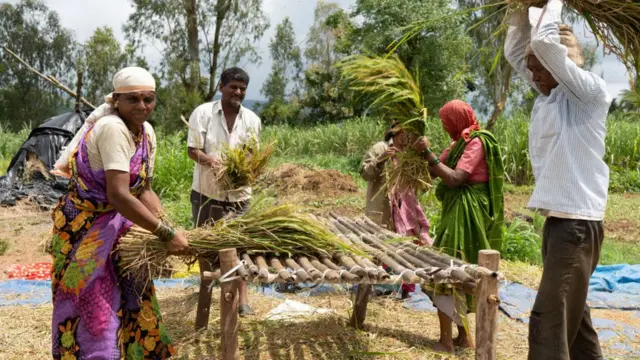 शेतकरी, अर्थसंकल्प