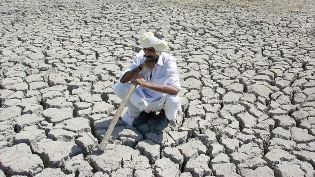 પ્રતીકાત્મક તસવીર