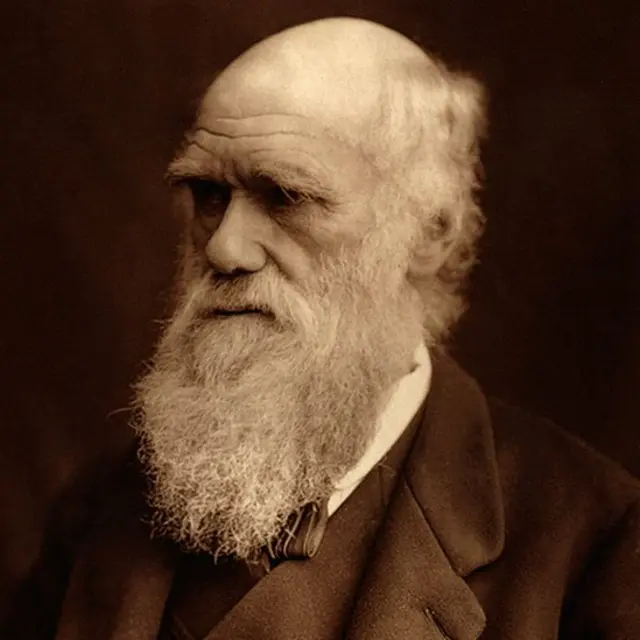 El "abominable misterio" que desconcertó a Charles Darwin durante sus  últimos años de vida - BBC News Mundo
