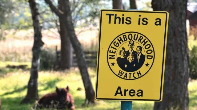 दिमाग़, कैसे काम करता है दिमाग़, परेशानियां दिमागी उपज