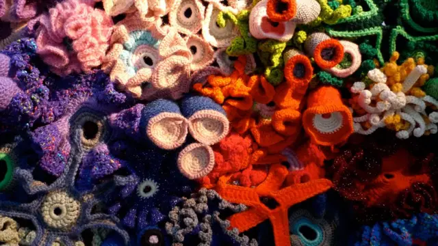 Detalle de arrecife de coral