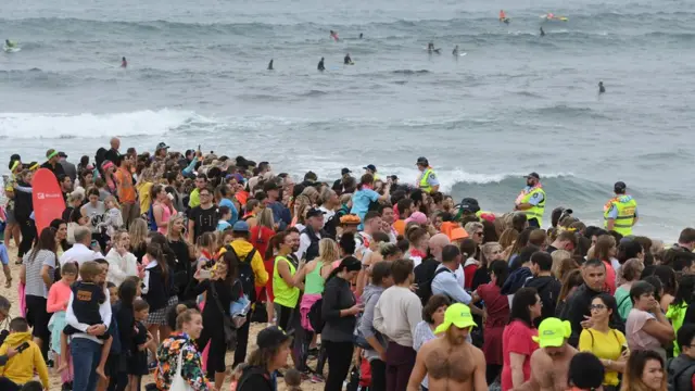 береговая линия