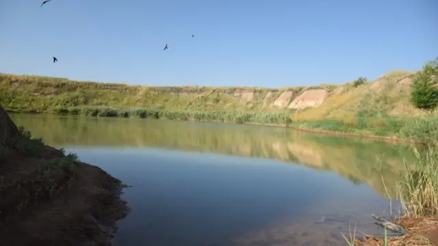 харків