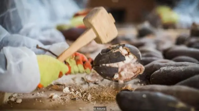 ગ્રેટ ગ્રીન વૉલ પ્રોજેક્ટ