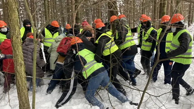 Вырубка троицкого леса