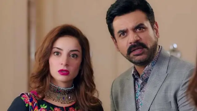 جوانی پھر نہیں آنی