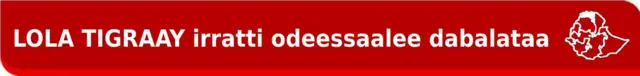Barreeffama: Lola Tigraay irratti odeessaalee dabalataa jedhu