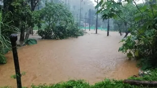 நீலகிரி மாவட்டத்தில் கன மழை, இயல்பு வாழ்க்கை பாதிப்பு