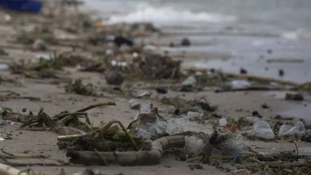 ชายหาดวอนนภา จ.ชลบุรี ในวันที่อาสาสมัครกรีนพีซลงพื้นที่เก็บขยะ