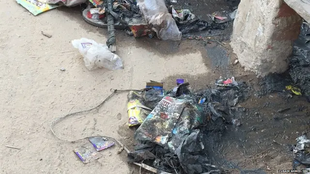 जयपुर ज़ीका