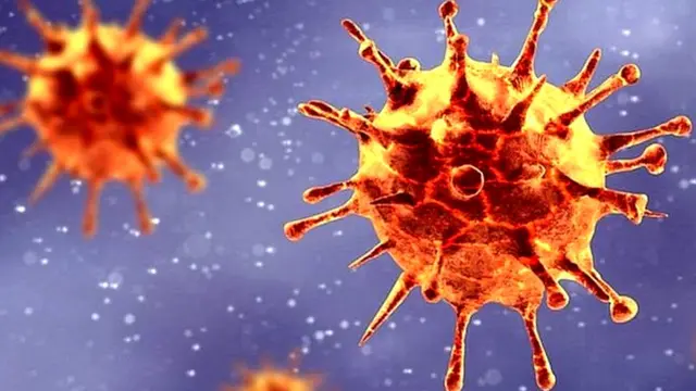 కరోనావైరస్