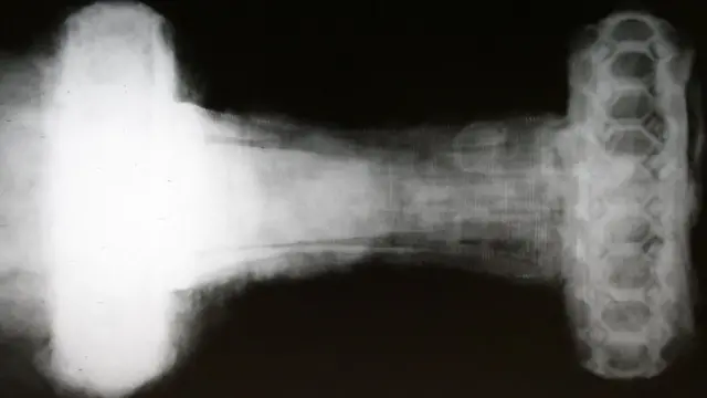 வாளின் எக்ஸ்ரே தோற்றம்