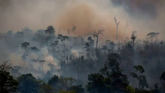 Incêndio no Pará