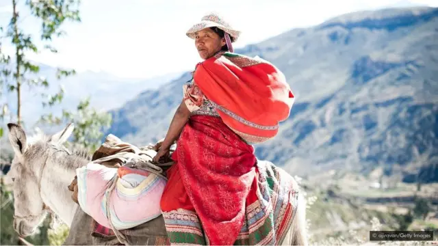 క్వినైన్ను కనుగొన్నది స్పానిష్ జెస్యూట్లని ప్రచారం జరుగుతున్నా దీని గురించి స్థానిక తెగలకు చాలా ముందే తెలుసు.