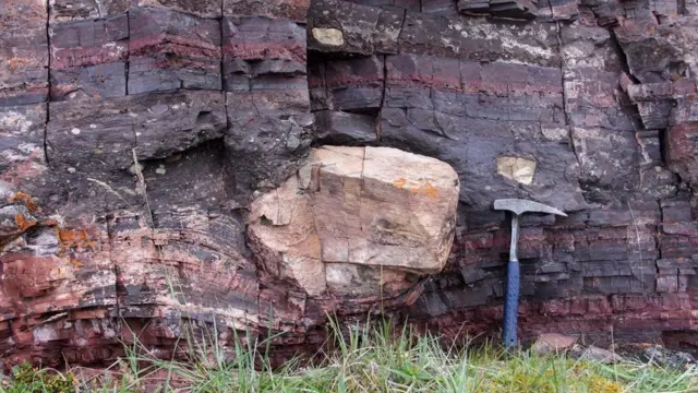 （图片来源：Vivien Cumming）