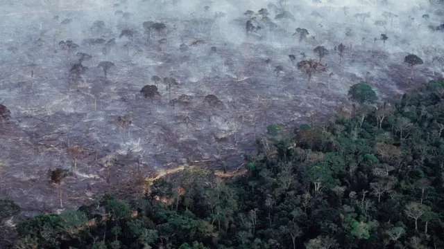 Vista aérea da floresta amazônica queimandotop casa de apostas2017