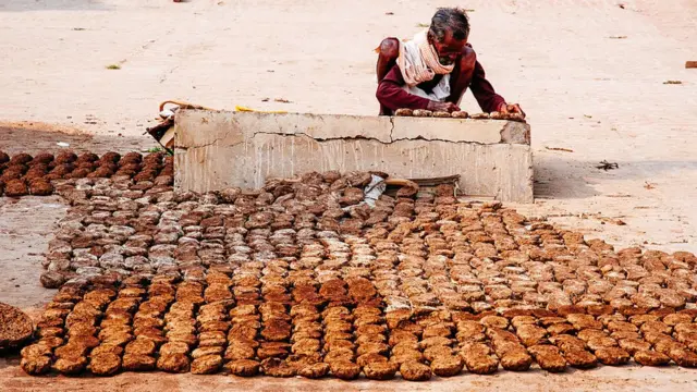 ఆవుపేడ పిడకలు