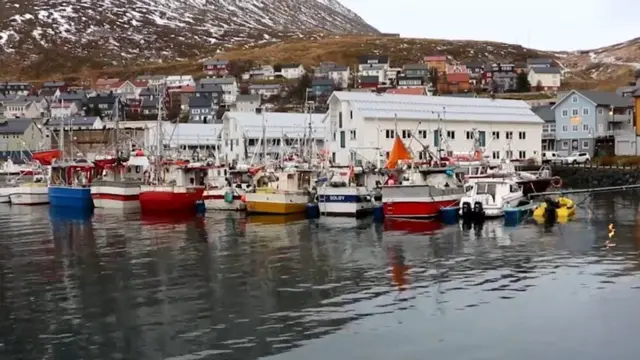 પાણીમાં ઊભેલી બોટ