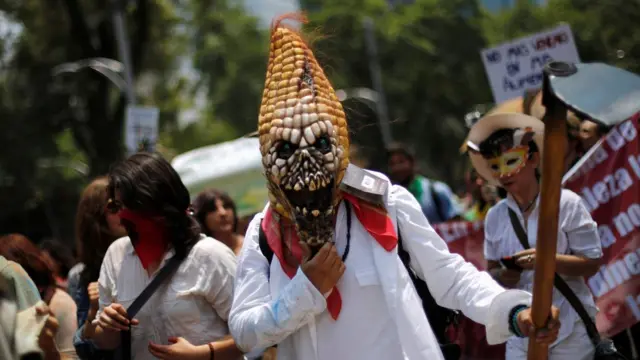 Protesto contra Monsanto no México