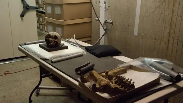 Partes de un esqueleto sobre una mesa, en el museo