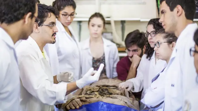 Aulaestrela bet aviãoanatomia na UFMG