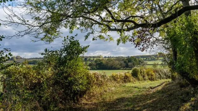 Оксфордширский пейзаж