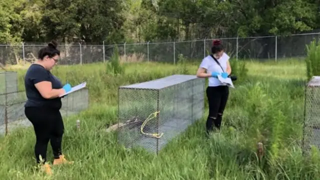 மனித உடல் மரணத்தபின் சிதைவுறுவது எப்படி?