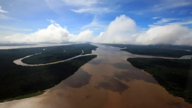 Imagem aérearoleta virtual gratisum rio e uma árearoleta virtual gratisfloresta na amazônia