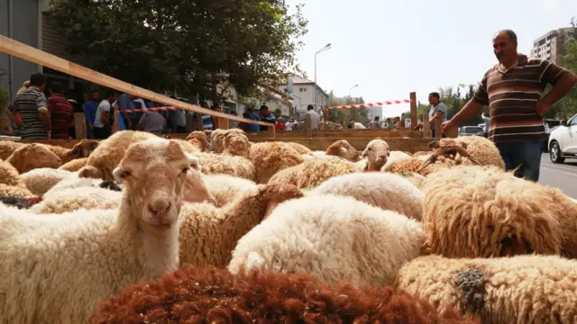 Azərbaycanda Qurban bayramı