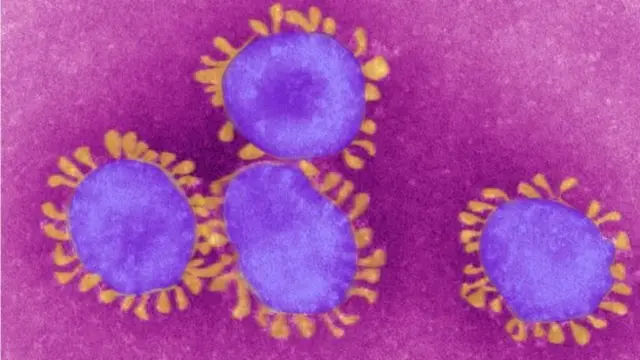 கொரோனா வைரஸ்